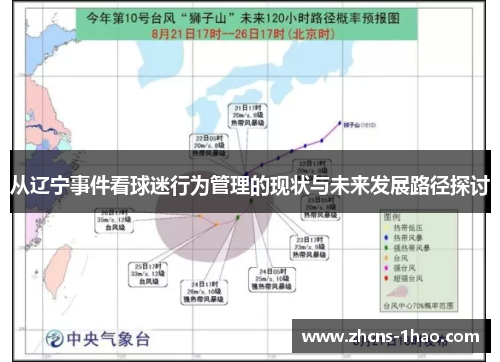 从辽宁事件看球迷行为管理的现状与未来发展路径探讨