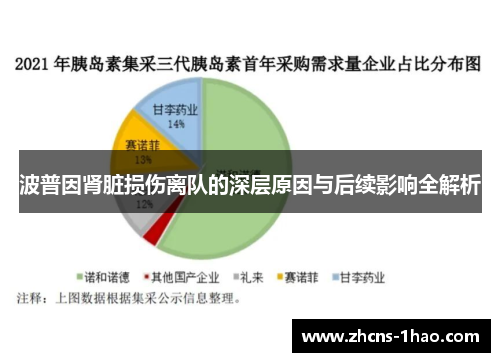 波普因肾脏损伤离队的深层原因与后续影响全解析