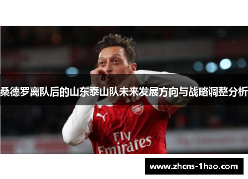 桑德罗离队后的山东泰山队未来发展方向与战略调整分析