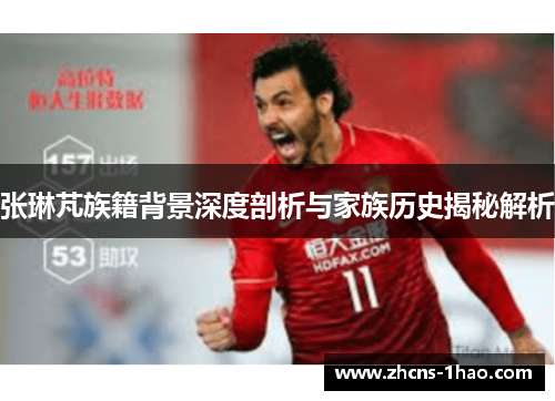 张琳芃族籍背景深度剖析与家族历史揭秘解析