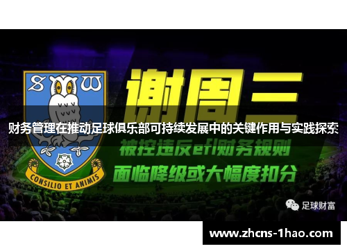 财务管理在推动足球俱乐部可持续发展中的关键作用与实践探索