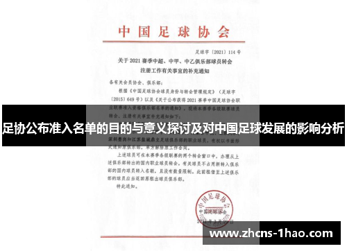 足协公布准入名单的目的与意义探讨及对中国足球发展的影响分析
